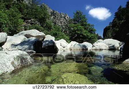 Rock pond in the woods View Large Photo Image Stock Image - Rock pond in the woods. Fotosearch