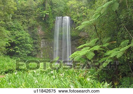 Waterfall in the woods View Large Photo Image Stock Photography - Waterfall in the woods. Fotosearch