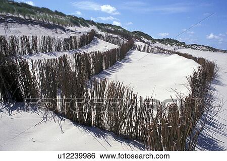 White beach sand View Large Photo Image Stock Photograph - White beach sand. Fotosearch