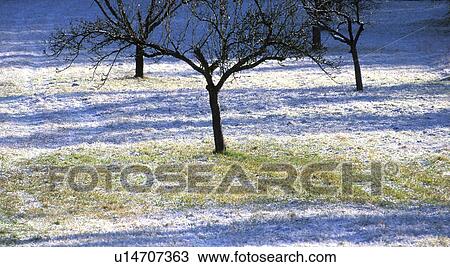 Stock Image - Blanket of snow. Fotosearch