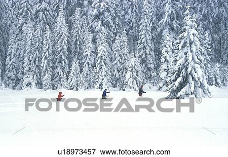 Cross country skiing in the woods View Large Photo Image Stock Photo - Cross country skiing in the woods . Fotosearch