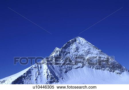 Stock Photography - day, Alps, cow, blue, Bernhard, alps. Fotosearch