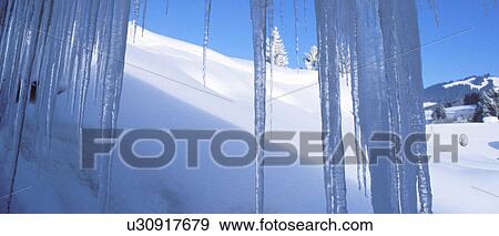 frost, blauphoton, day, cold, cellar, alexander View Large Photo Image Stock Photo - frost, blauphoton, day, cold, cellar, alexander. Fotosearch