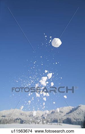 Picture - Snowball. Fotosearch