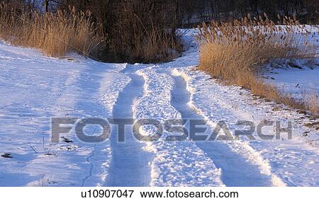 Tracks in the snow View Large Photo Image Stock Photo - Tracks in the snow. Fotosearch