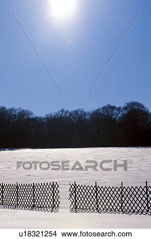 weinviertel, austria, back light, calf, cold, coldly, fence View Large Photo Image Picture - weinviertel, austria, back light, calf, cold, coldly, fence. Fotosearch