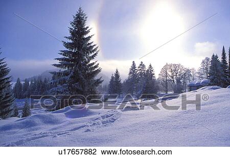 Stock Image - Winter snow scene. Fotosearch