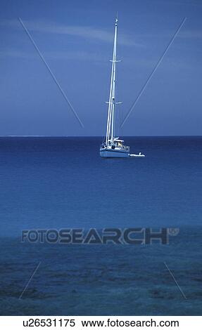 Bernhard, blue, boat, boats, cow, day View Large Photo Image Stock Photography - Bernhard, blue, boat, boats, cow, day. Fotosearch