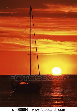 levc, Indian, kingscote, kangaroo, islan, ocean, Australia View Large Photo Image Stock Image - levc, Indian, kingscote, kangaroo, islan, ocean, Australia. Fotosearch