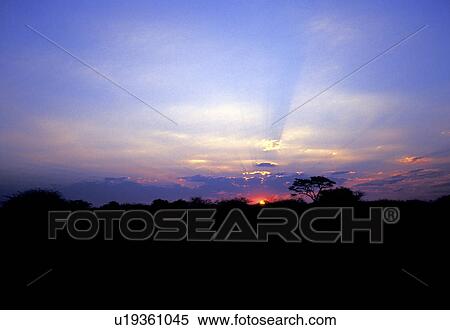 Stock Photography - Africa, blue, black, African, africa. Fotosearch