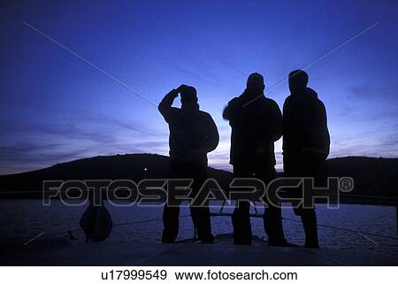 alexander, blue, blauphoton, back view, adults View Large Photo Image Stock Photo - alexander, blue, blauphoton, back view, adults. Fotosearch