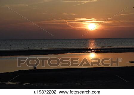 beach, ebb, evening, germany, gluupoog, haas, light View Large Photo Image Stock Image - beach, ebb, evening, germany, gluupoog, haas, light. Fotosearch