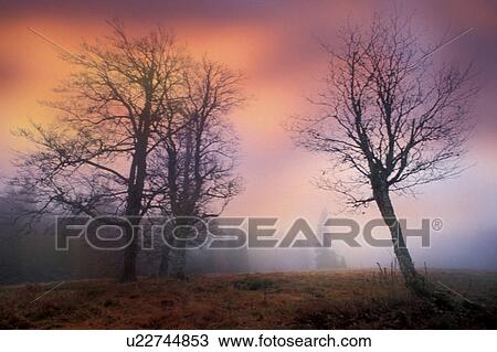 broken, climatic change, Christian, abenddaemmerung View Large Photo Image Stock Image - broken, climatic change, Christian, abenddaemmerung. Fotosearch