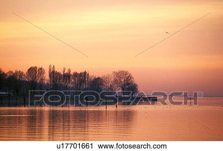 calm, austria, calf, bregenz, banks, lake, atmosphere View Large Photo Image Stock Image - calm, austria, calf, bregenz, banks, lake, atmosphere. Fotosearch