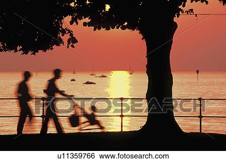 Stock Photograph - child, banks, calf, buggy, bregenz, family, austria. Fotosearch