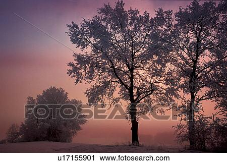 Christian, evening light, dusk, abenddaemmerung View Large Photo Image Stock Image - Christian, evening light, dusk, abenddaemmerung. Fotosearch