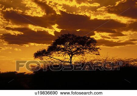 Stock Image - day, andreas, cloudy, cloud, black, Africa. Fotosearch