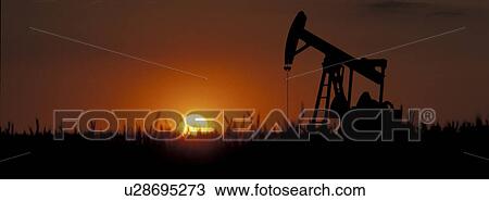 Stock Image - grass, business, evening light, dusk, crane, abenddaemmerung. Fotosearch
