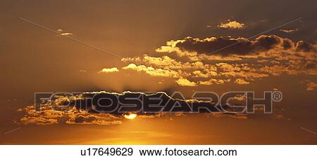 robert, calf, red, glowing, clouds, austria View Large Photo Image Stock Photo - robert, calf, red, glowing, clouds, austria. Fotosearch