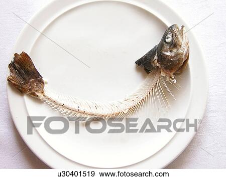 Stock Photo - Austria, bone, alfred. Fotosearch