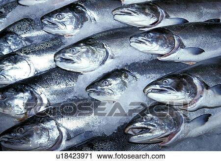 background, beauty, CLOSE, close-up, drink, eat View Large Photo Image Stock Image - background, beauty, CLOSE, close-up, drink, eat. Fotosearch