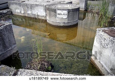 basin, camphora, contaminated, dirt, environmental pollution, factory View Large Photo Image Stock Photo - basin, camphora, contaminated, dirt, environmental pollution, factory. Fotosearch