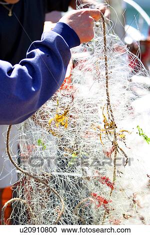 Stock Image - burkhard, CLOSE, close-up, day, Fischer, fish. Fotosearch