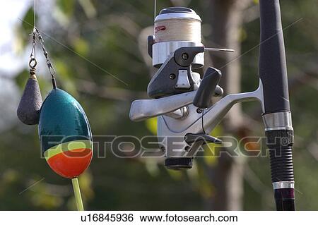 Stock Photograph - catch, nahrungsbeschaffung, buss, alexandra, schwimmer, angelzubehoer. Fotosearch
