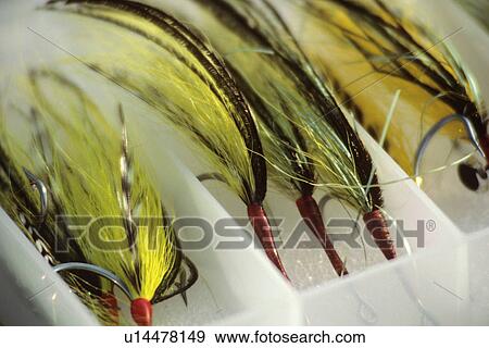 chartreause, christopher, fishing, flies, fly View Large Photo Image Stock Photo - chartreause, christopher, fishing, flies, fly. Fotosearch