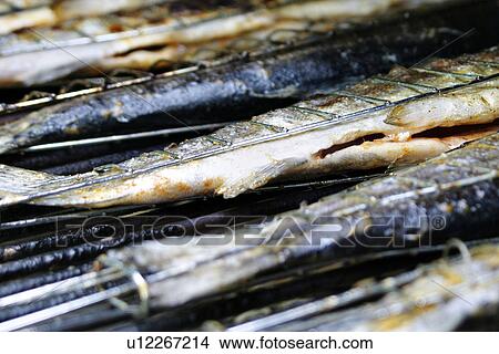 eat, barbecue, drink, close-up, CLOSE, alfred View Large Photo Image Picture - eat, barbecue, drink, close-up, CLOSE, alfred. Fotosearch