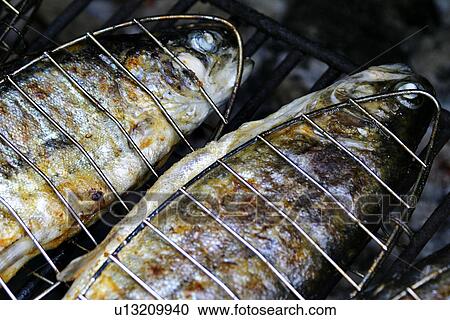 eat, barbecue, drink, close-up, CLOSE, alfred View Large Photo Image Stock Image - eat, barbecue, drink, close-up, CLOSE, alfred. Fotosearch