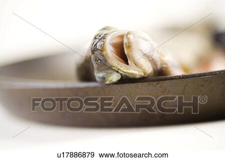 Stock Photo - eat, close-up, death, dead, cook, alfred. Fotosearch