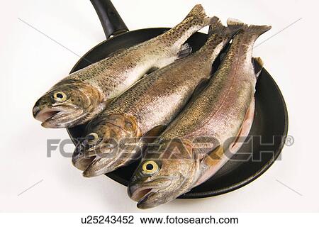 Stock Image - fish for everyday consumption, freigestellt, alfred, aliment, animal, concept. Fotosearch