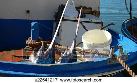fishes, blue, cornelia, bucket, boat, animals View Large Photo Image Stock Photo - fishes, blue, cornelia, bucket, boat, animals. Fotosearch