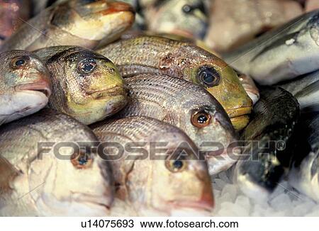 Stock Image - wienzeile, naschmarkt, austria, calf, fish, fish stall, food. Fotosearch