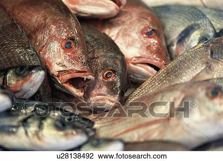 Stock Image - wienzeile, naschmarkt, austria, calf, fish, fish stall, fishes. Fotosearch