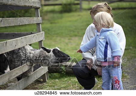 family, animals, experience, discover, child, farm, animal View Large Photo Image Stock Photography - family, animals, experience, discover, child, farm, animal. Fotosearch