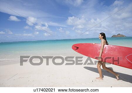 Profile of young woman holding surfboard at beach View Large Photo Image Stock Image - Profile of young woman holding surfboard at beach. Fotosearch