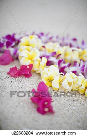 View of a flower garland View Large Photo Image Picture - View of a flower garland. Fotosearch