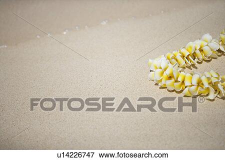 Stock Photo - View of a flower garland. Fotosearch