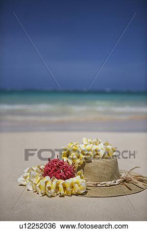 View of a garland and hat on beach View Large Photo Image Stock Photograph - View of a garland and hat on beach. Fotosearch