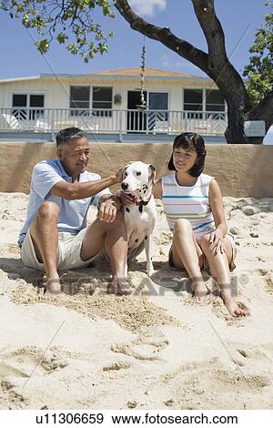 A couple sitting with dog on sand View Large Photo Image Stock Photo - A couple sitting with dog on sand. Fotosearch