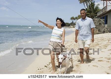 A couple walking on beach with dog View Large Photo Image Stock Photo - A couple walking on beach with dog. Fotosearch