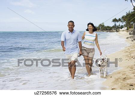 A couple walking on beach with dog View Large Photo Image Stock Photograph - A couple walking on beach with dog. Fotosearch