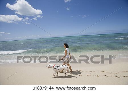 A woman walking with dog on beach View Large Photo Image Picture - A woman walking with dog on beach. Fotosearch