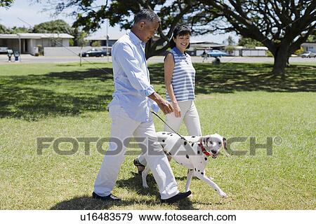 Stock Photo - Husband and wife walking with dog. Fotosearch