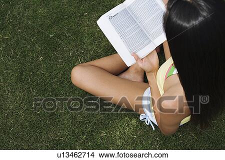 Elevated view of a woman reading book View Large Photo Image Picture - Elevated view of a woman reading book. Fotosearch