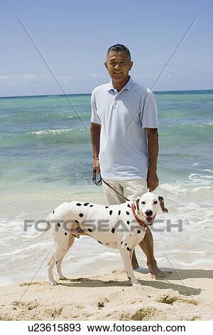Portrait of a man standing with dog at beach View Large Photo Image Stock Image - Portrait of a man standing with dog at beach. Fotosearch