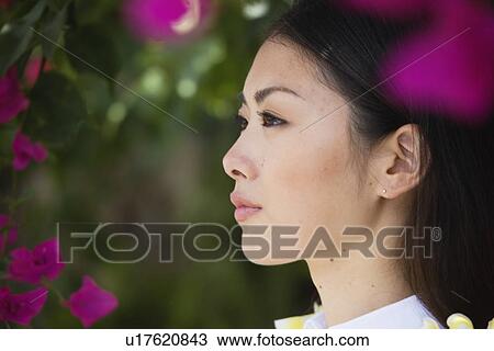 Profile of a young woman View Large Photo Image Stock Image - Profile of a young woman. Fotosearch