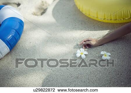 Human hand near flowers View Large Photo Image Stock Image - Human hand near flowers. Fotosearch